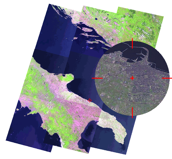 Bari e la Puglia dal satellite