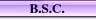 BSC