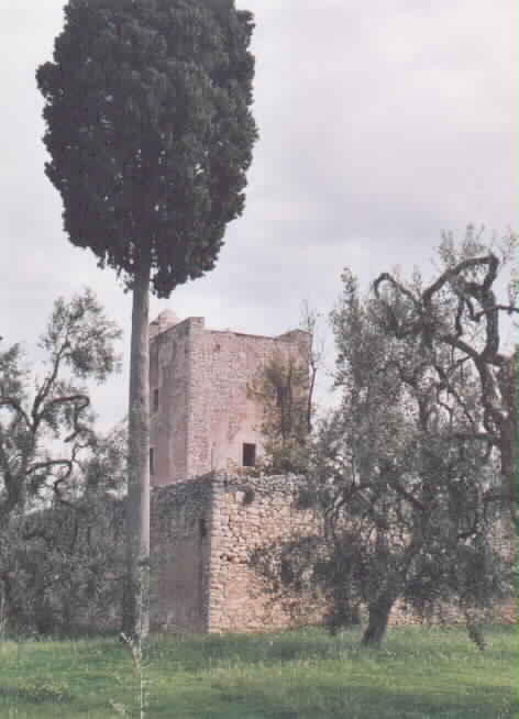 Vista Laterale