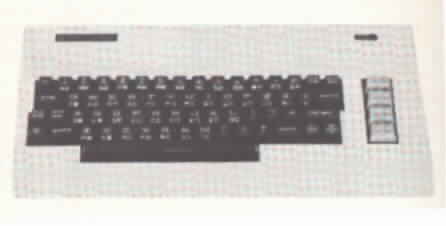 Il mio primo computer