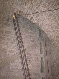 un antico discendente in rame