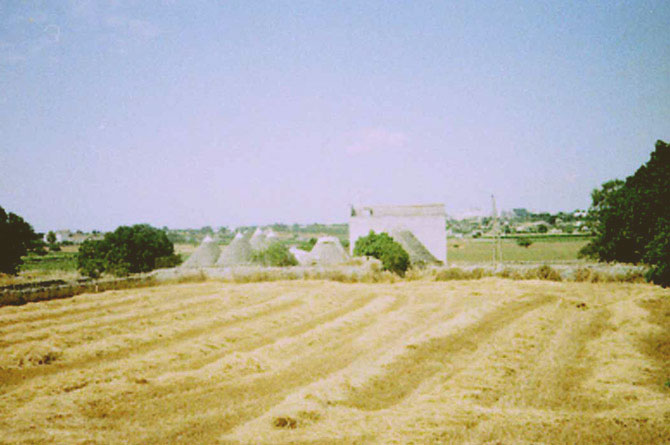pignon e trulli