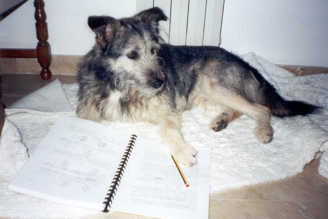 Rocky mentre studia Chimica organica