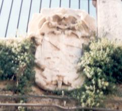 Stemma dei Caracciolo
