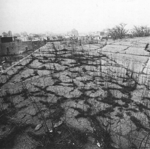 Le coperture prima dei lavori
