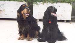 Clicca_per_Ingrandire