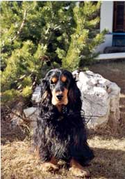 Clicca_per_Ingrandire