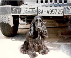 Clicca_per_Ingrandire