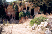 apri pagina