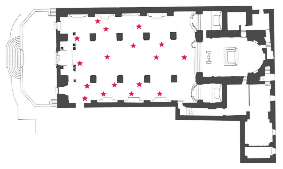 Muovi il mouse sulla pianta e clicca per visualizzare l'immagine