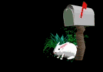 mail
