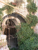 Ingresso Palatium
